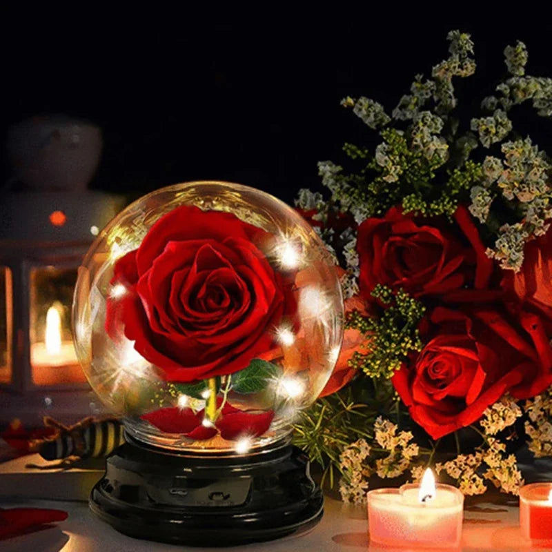Mother Day Gift Dried Flowers Eternal Real Rose Home Decor with LED In Glass Dome Valentine's Day Gift Rose Round Lamp Ornaments