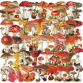 50pcs Retro Mushroom Graffiti Stickers Handmade Account DIY Luggage Notebook Motorcycle PET Waterproof Stickers
