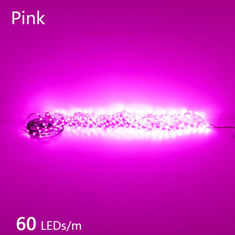 12V 24V LED Strip 2835 120LEDs/m Home Lamp Strip Pink Red Ice Blue Green Golden Yellow Orange Flexible Waterproof Soft Lamp Bar