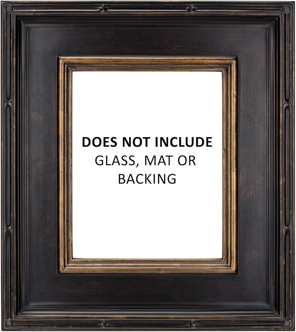 Antique Black Gold Picture Frame 24×30 Inch, Ornate Museum Quality Plein Aire Frame for Art and Decor – Pack of 1