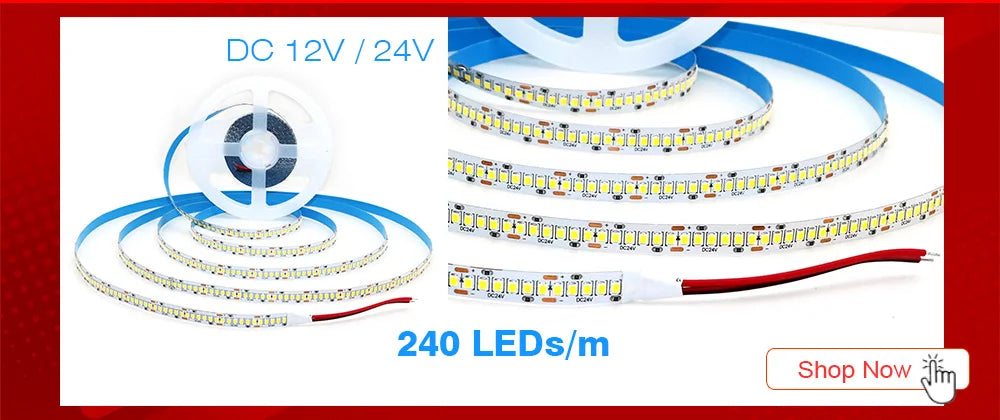 5M 300LEDs Waterproof RGB LED Strip 5050 DC12V 60LEDs/M Flexible Light Belt Led Ribbon Tape Home Decoration 24V RGBW Lamp Strips