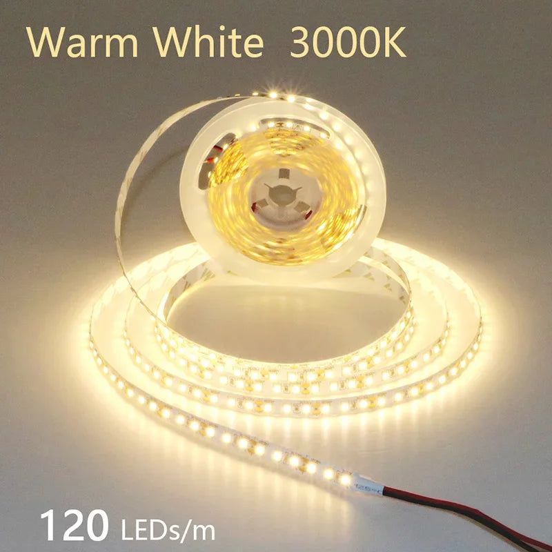 12V 24V LED Strip 2835 120LEDs/m Home Lamp Strip Pink Red Ice Blue Green Golden Yellow Orange Flexible Waterproof Soft Lamp Bar