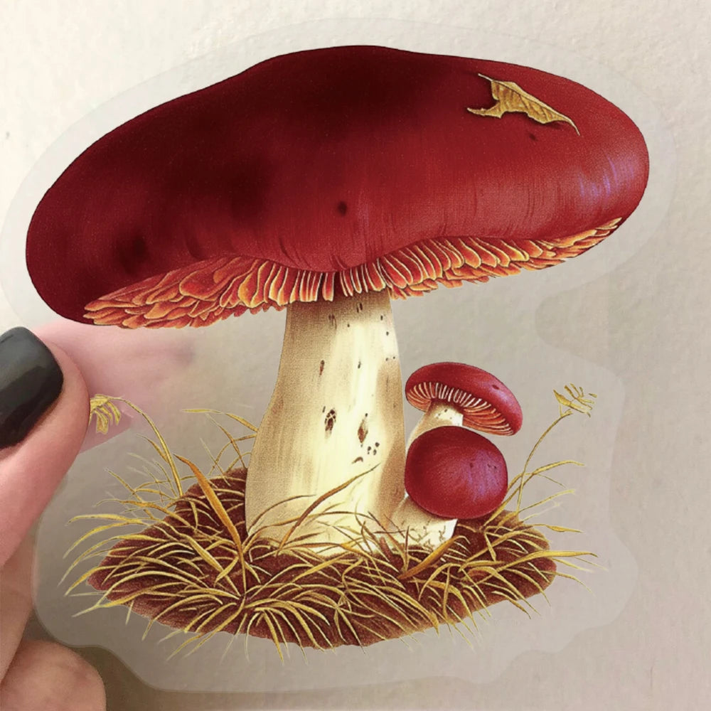 50pcs Retro Mushroom Graffiti Stickers Handmade Account DIY Luggage Notebook Motorcycle PET Waterproof Stickers