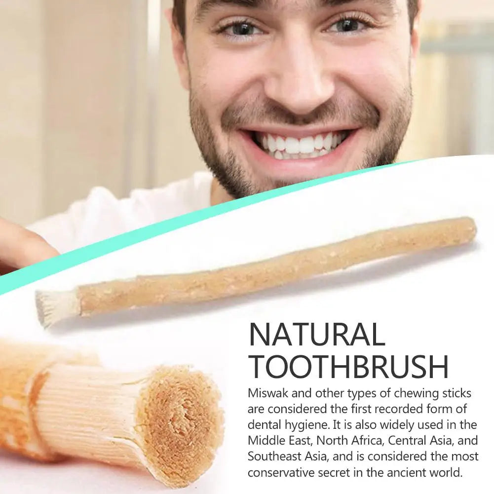Portable Natural Miswak Toothbrush – Traditional Teeth Whitener & Manual Tooth Care Stick for Travel 1pc X1P8