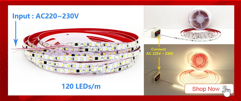 5M 300LEDs Waterproof RGB LED Strip 5050 DC12V 60LEDs/M Flexible Light Belt Led Ribbon Tape Home Decoration 24V RGBW Lamp Strips