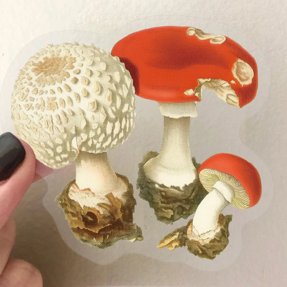 50pcs Retro Mushroom Graffiti Stickers Handmade Account DIY Luggage Notebook Motorcycle PET Waterproof Stickers