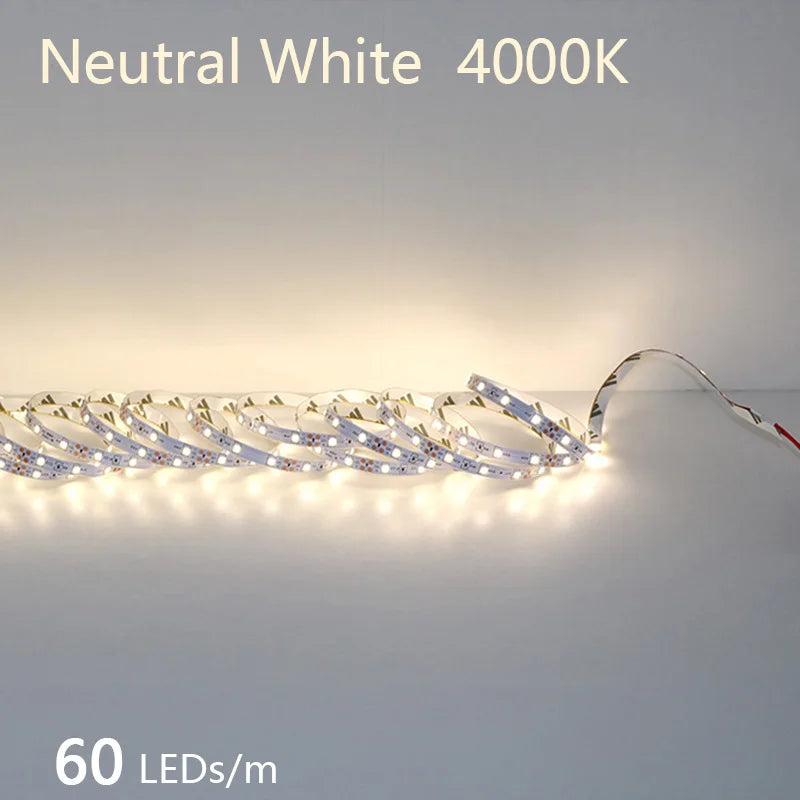 2835 5M 300 600 1200LEDs LED Strip DC12V 24V 120LEDs/m Home Waterproof IP65 Lamp Strip  Flexible And Cuttable Soft Lamp Bar