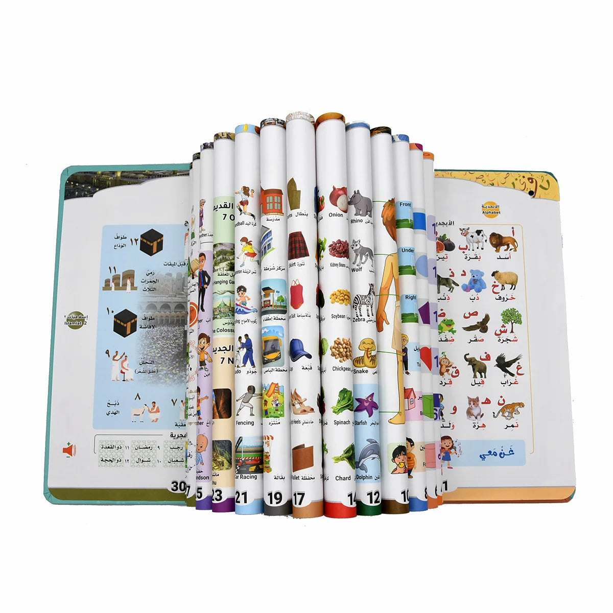Bilingual Arabic-English Interactive E-Book for Kids Learning Alphabets &amp; Quran