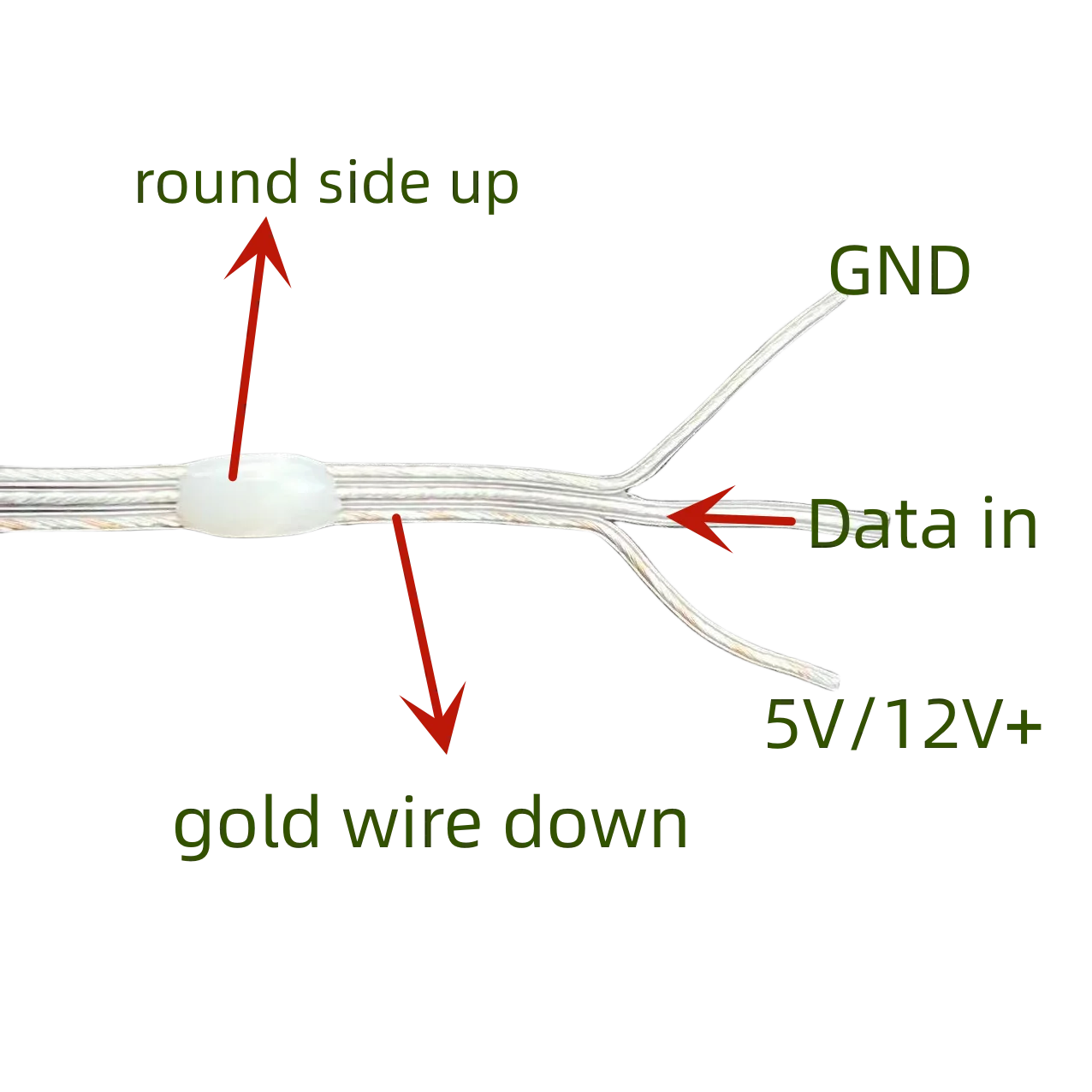 20AWG(0.2sqm2) 3Pin DC12V 1000/3000ct 50mm/100mm/150mm/200mm Pitch WS2811 RGBIC LED Pebble Seed Pixel String Light IP67 Clear Wi