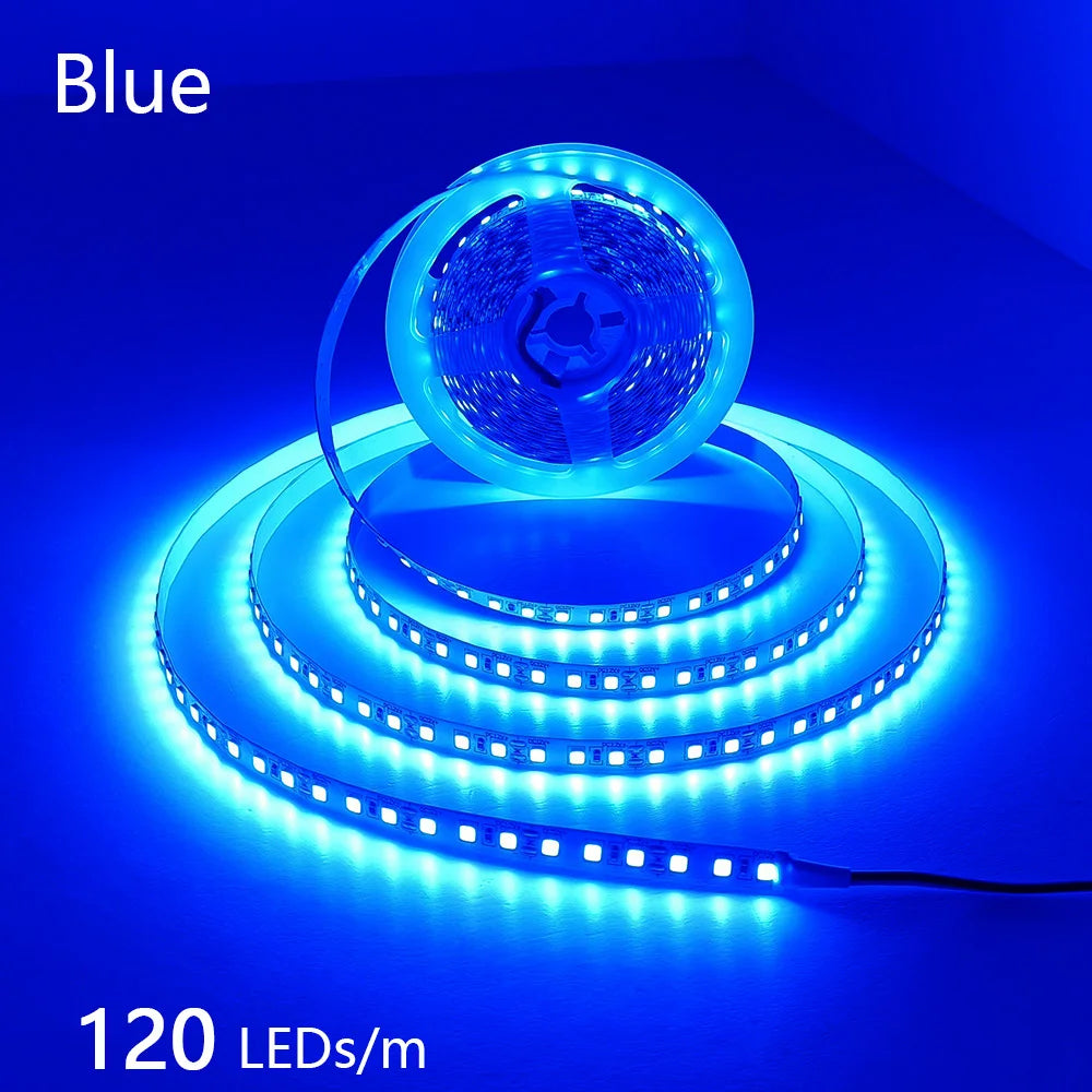 12V 24V LED Strip 2835 120LEDs/m Home Lamp Strip Pink Red Ice Blue Green Golden Yellow Orange Flexible Waterproof Soft Lamp Bar