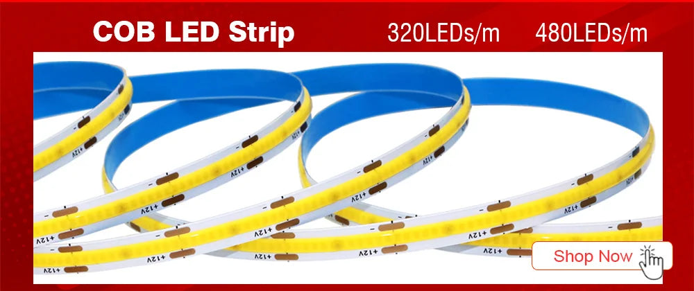 5M 300LEDs Waterproof RGB LED Strip 5050 DC12V 60LEDs/M Flexible Light Belt Led Ribbon Tape Home Decoration 24V RGBW Lamp Strips