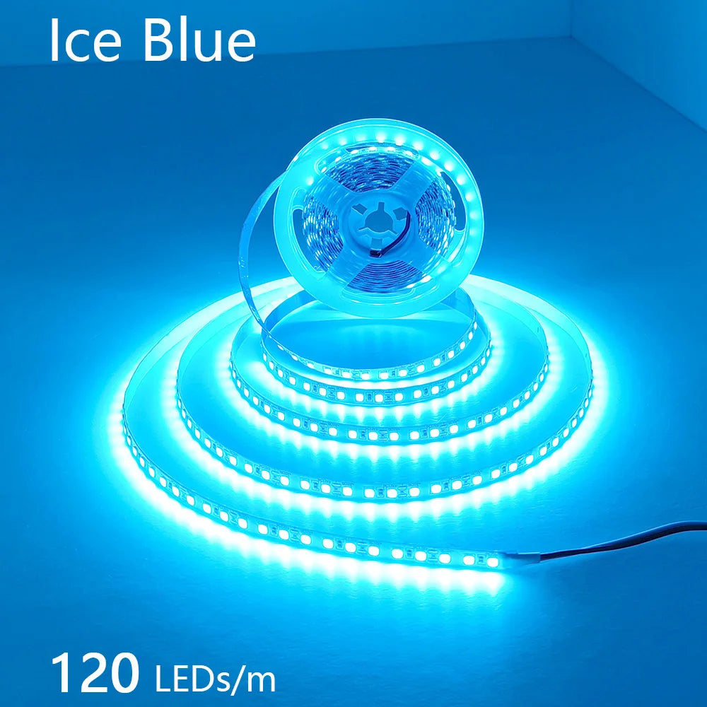 2835 5M 300 600 1200LEDs LED Strip DC12V 24V 120LEDs/m Home Waterproof IP65 Lamp Strip  Flexible And Cuttable Soft Lamp Bar