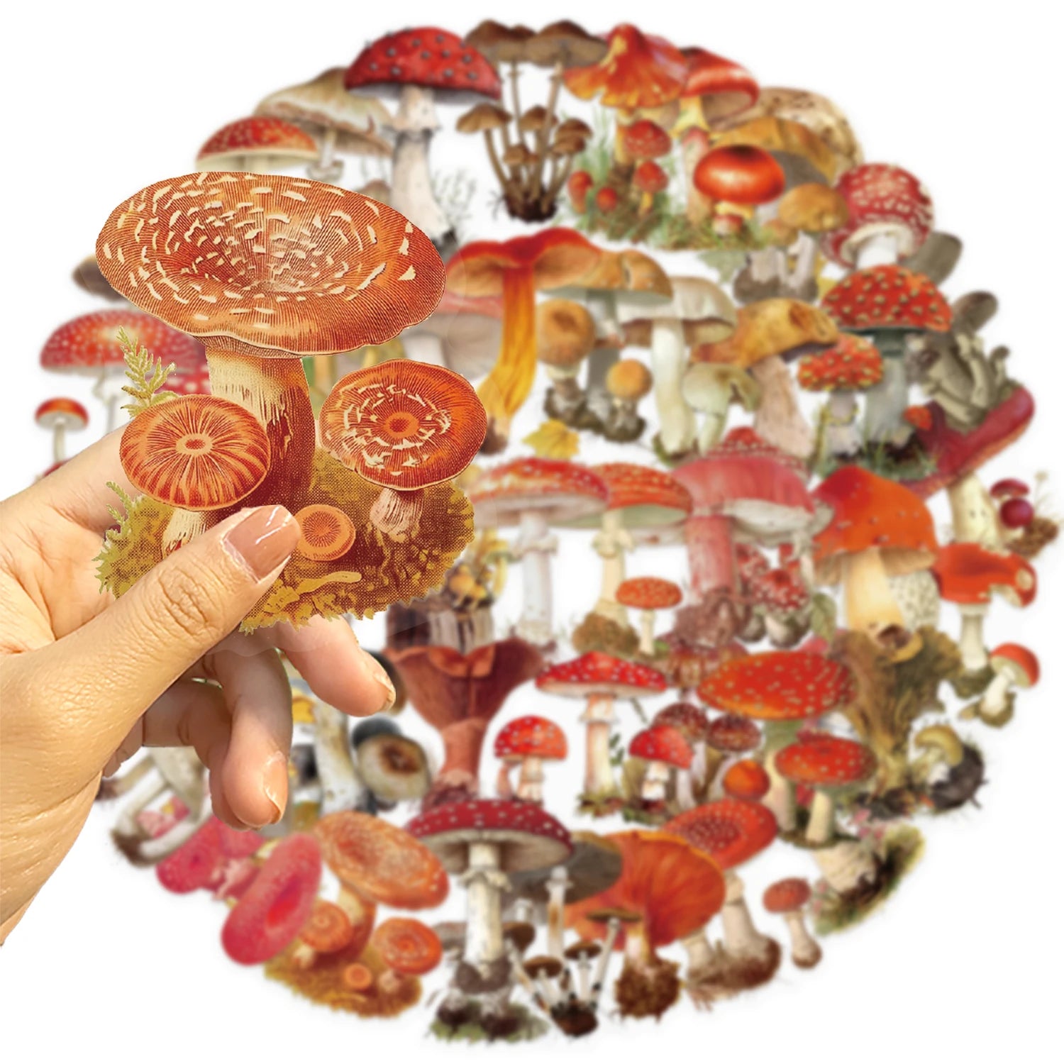 50pcs Retro Mushroom Graffiti Stickers Handmade Account DIY Luggage Notebook Motorcycle PET Waterproof Stickers