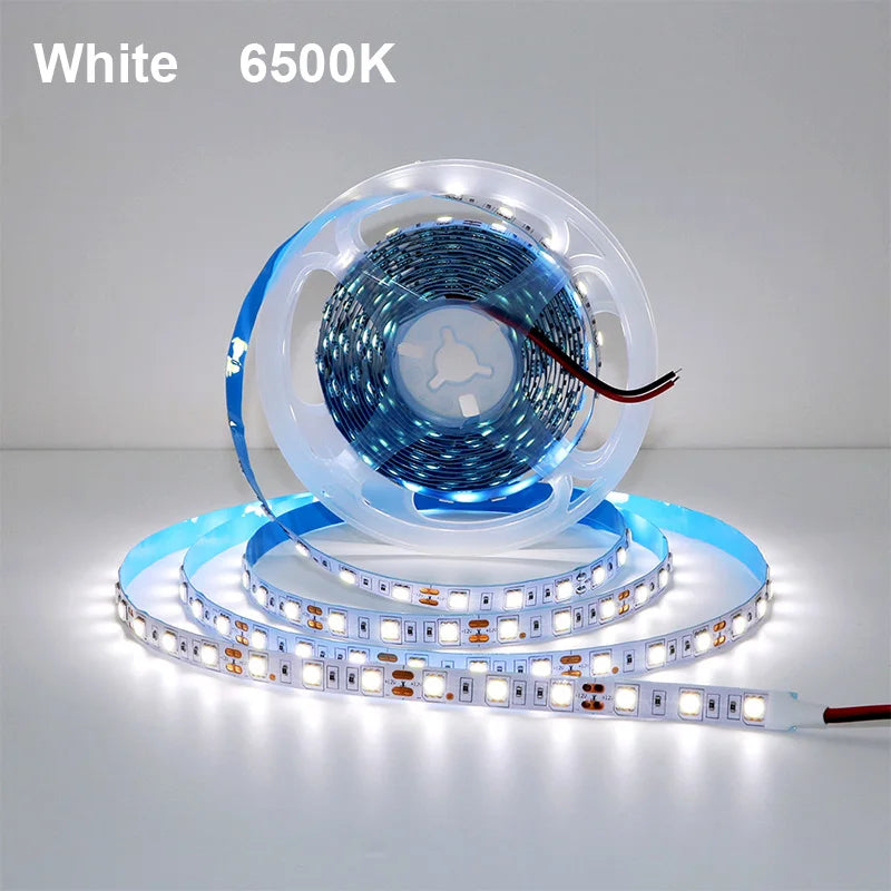 5M 300LEDs Waterproof RGB LED Strip 5050 DC12V 60LEDs/M Flexible Light Belt Led Ribbon Tape Home Decoration 24V RGBW Lamp Strips