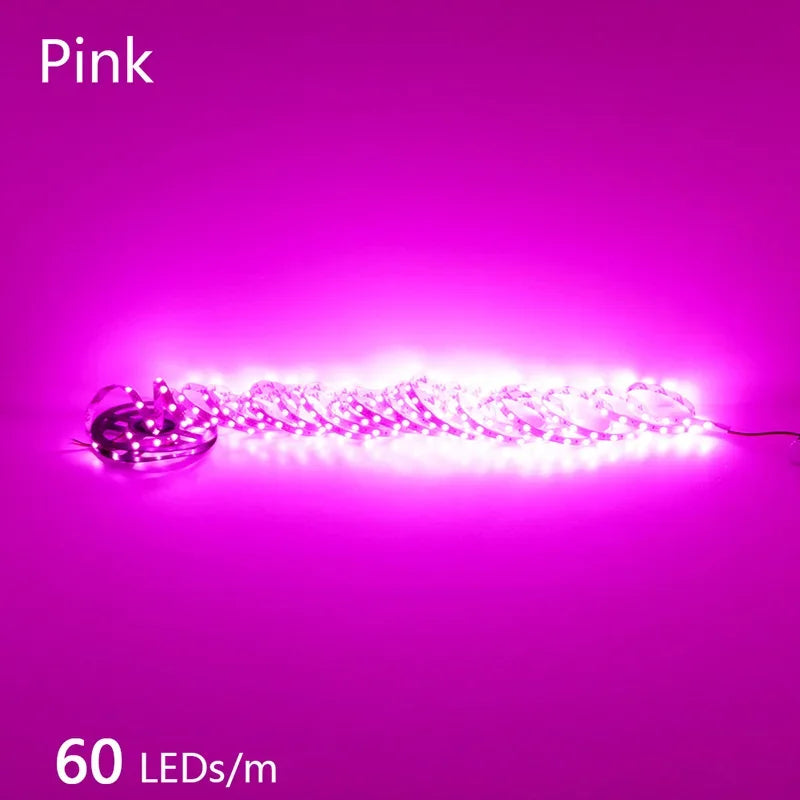 12V 24V LED Strip 2835 120LEDs/m Home Lamp Strip Pink Red Ice Blue Green Golden Yellow Orange Flexible Waterproof Soft Lamp Bar