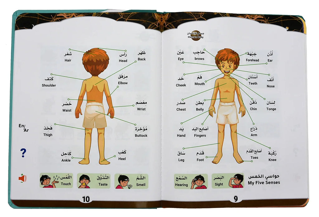 Bilingual Arabic-English Interactive E-Book for Kids Learning Alphabets &amp; Quran