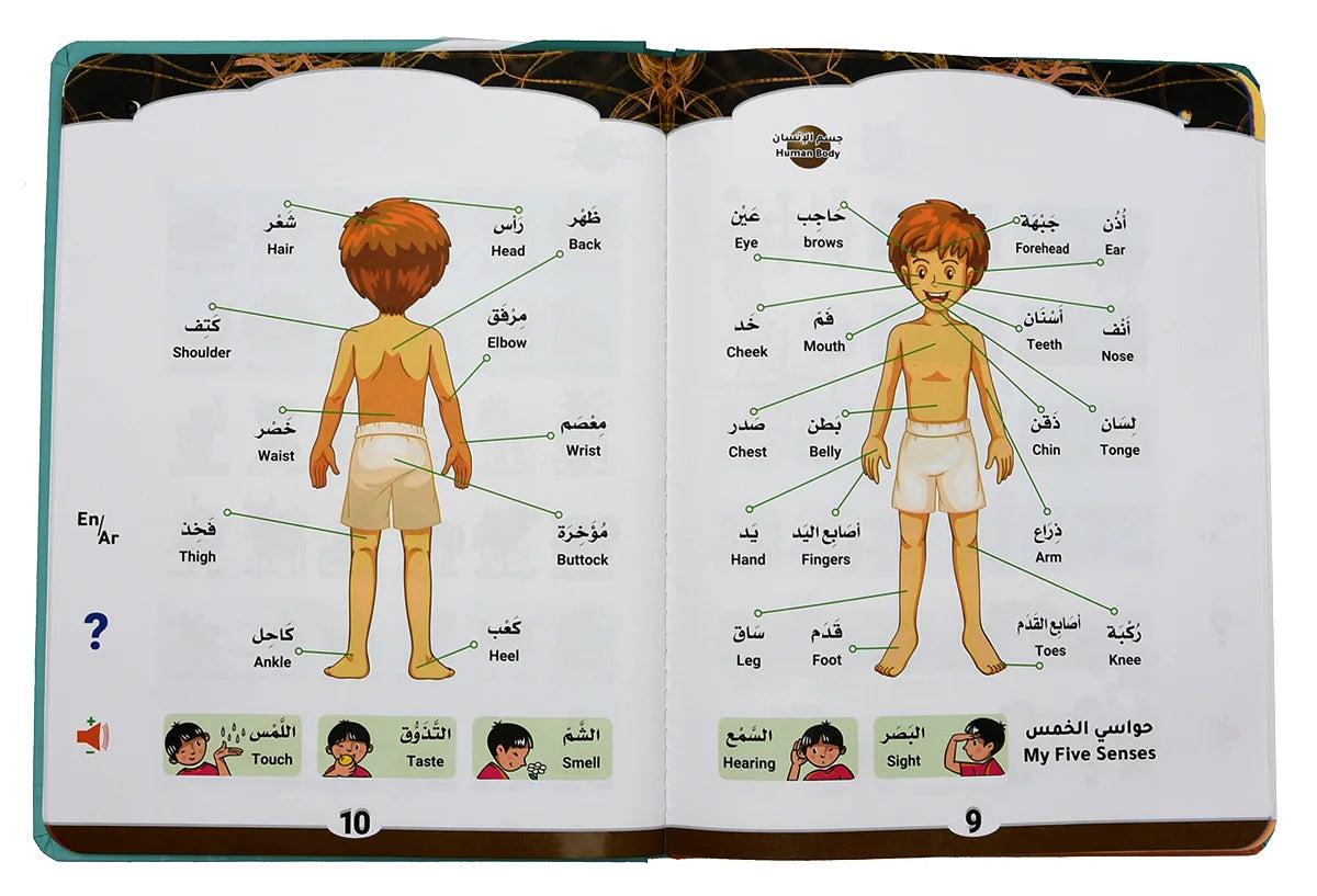 Bilingual Arabic-English Interactive E-Book for Kids Learning Alphabets &amp; Quran