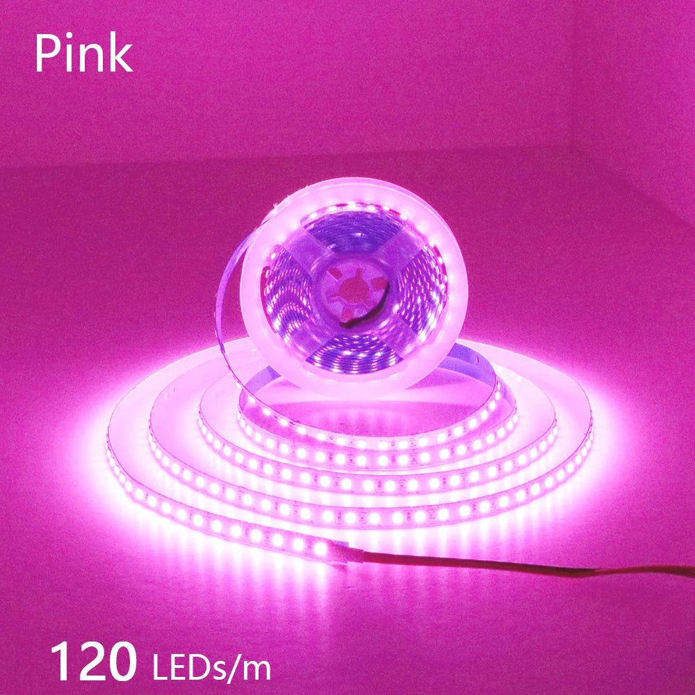 2835 5M 300 600 1200LEDs LED Strip DC12V 24V 120LEDs/m Home Waterproof IP65 Lamp Strip  Flexible And Cuttable Soft Lamp Bar