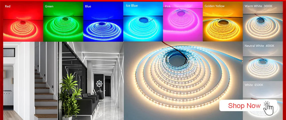 5M 300LEDs Waterproof RGB LED Strip 5050 DC12V 60LEDs/M Flexible Light Belt Led Ribbon Tape Home Decoration 24V RGBW Lamp Strips