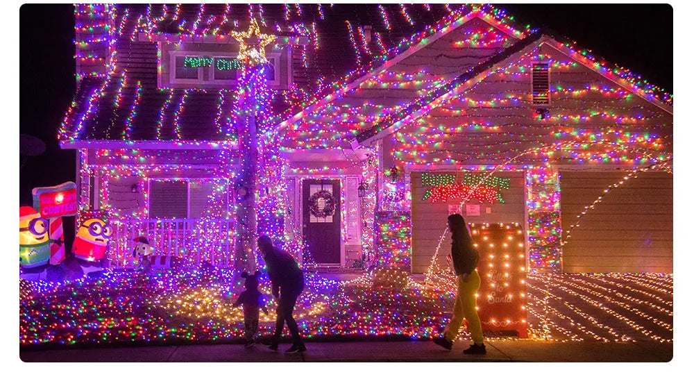 WS2812B Lights Christmas Ball Bubble WS2812 30/60leds/m Addressable led light striping Fairy Lantern lights decorations outdoor